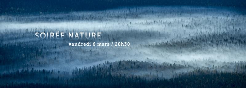 Festival de l'Image Projetée
